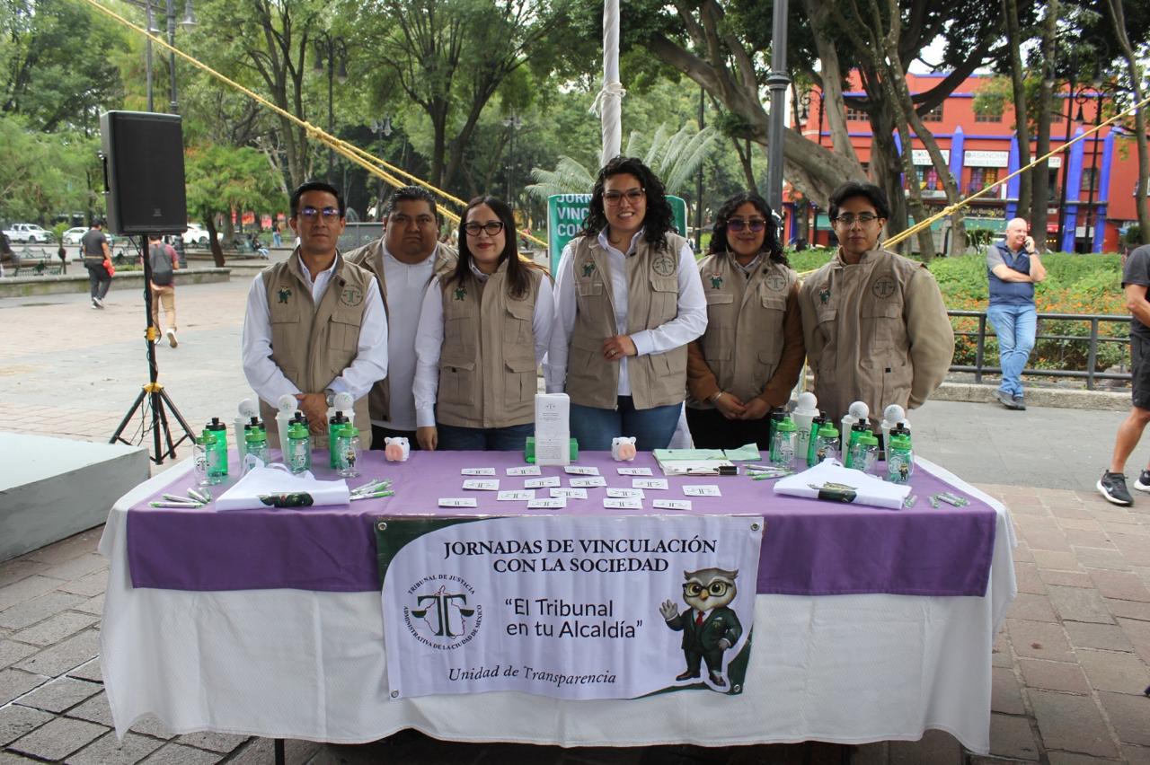alcadia coyoacan03
