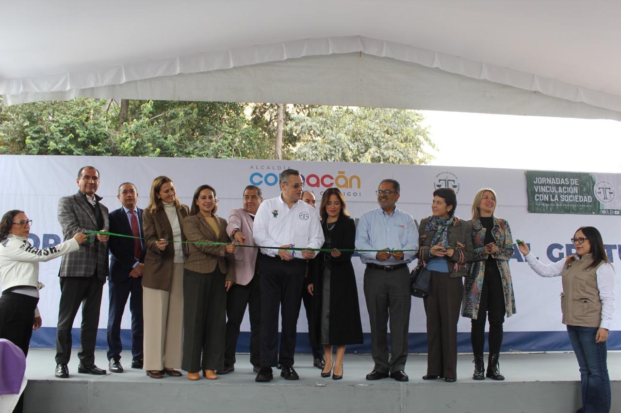alcadia coyoacan010